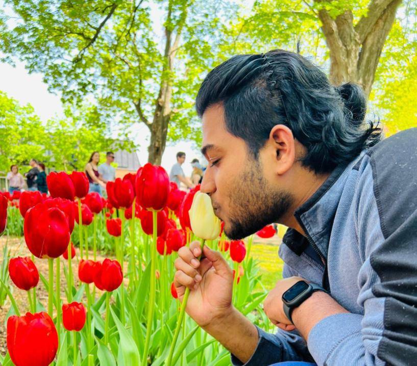 Man kneeling and kissing a tulip